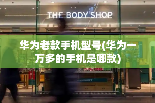 华为老款手机型号(华为一万多的手机是哪款)-第1张图片-星选测评
