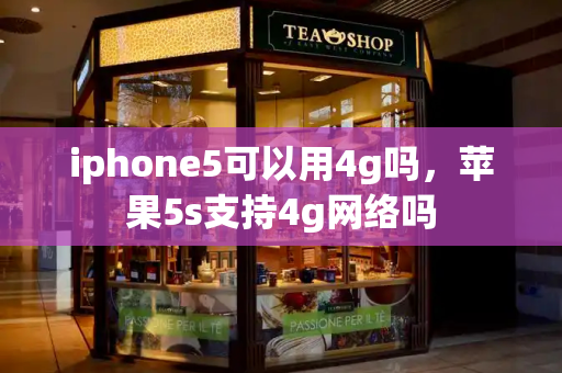 iphone5可以用4g吗，苹果5s支持4g网络吗-第1张图片-星选测评