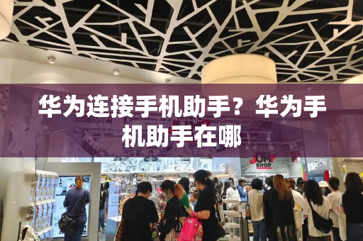 华为连接手机助手？华为手机助手在哪-第1张图片-星选测评