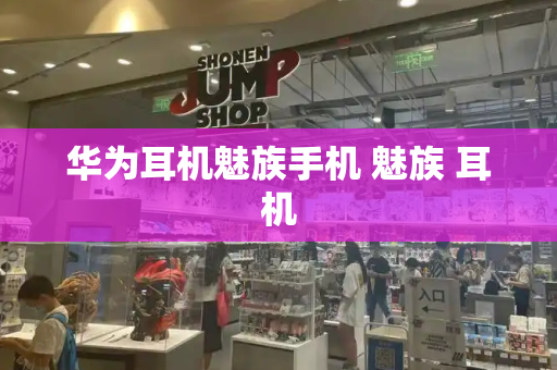 华为耳机魅族手机 魅族 耳机
