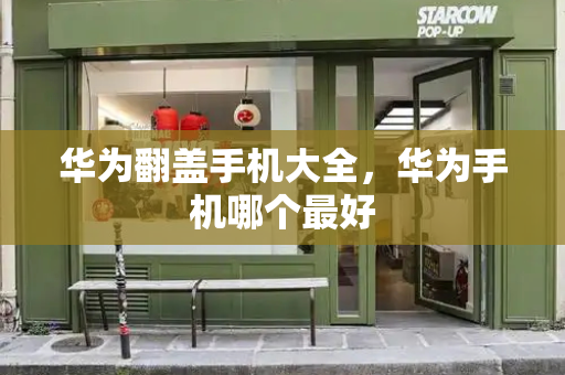 华为翻盖手机大全，华为手机哪个最好-第1张图片-星选测评