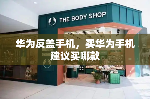 华为反盖手机，买华为手机建议买哪款