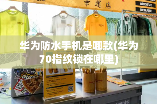 华为防水手机是哪款(华为70指纹锁在哪里)