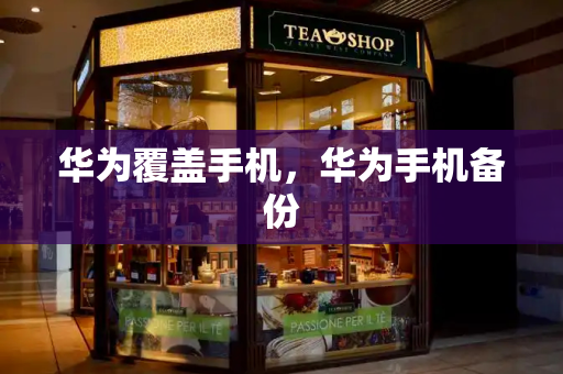 华为覆盖手机，华为手机备份-第1张图片-星选测评