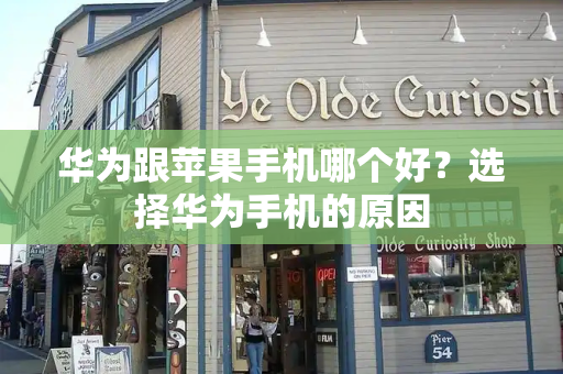 华为跟苹果手机哪个好？选择华为手机的原因-第1张图片-星选测评