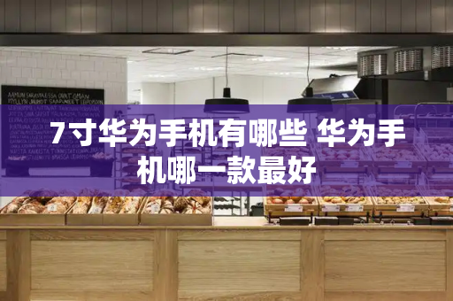7寸华为手机有哪些 华为手机哪一款最好-第1张图片-星选测评