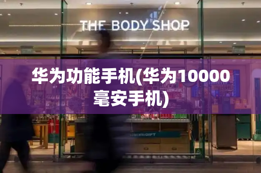 华为功能手机(华为10000毫安手机)
