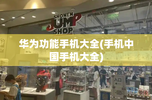 华为功能手机大全(手机中国手机大全)