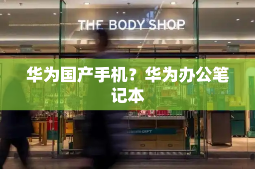 华为国产手机？华为办公笔记本