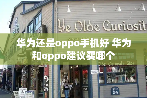华为还是oppo手机好 华为和oppo建议买哪个-第1张图片-星选测评