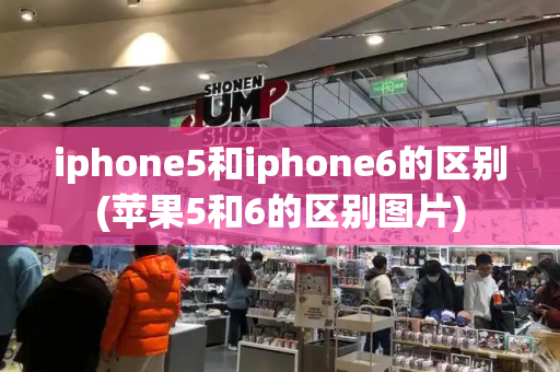 iphone5和iphone6的区别(苹果5和6的区别图片)