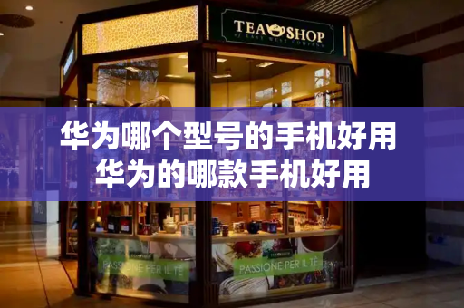 华为哪个型号的手机好用 华为的哪款手机好用-第1张图片-星选测评