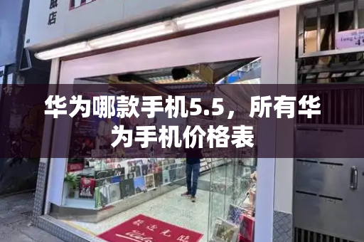 华为哪款手机5.5，所有华为手机价格表-第1张图片-星选测评