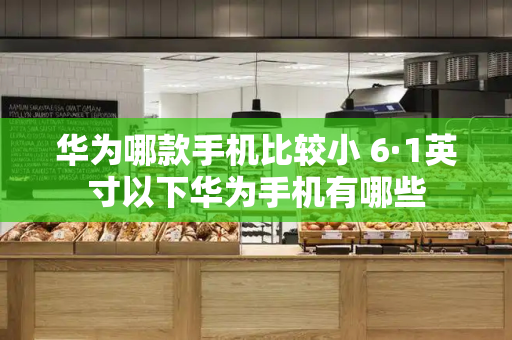 华为哪款手机比较小 6·1英寸以下华为手机有哪些-第1张图片-星选测评