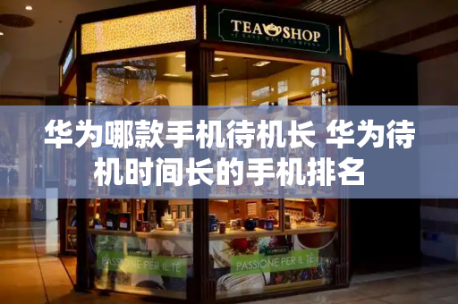 华为哪款手机待机长 华为待机时间长的手机排名