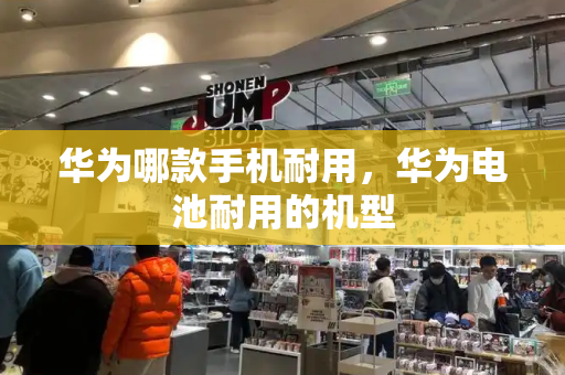 华为哪款手机耐用，华为电池耐用的机型
