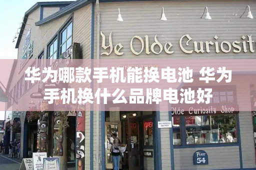 华为哪款手机能换电池 华为手机换什么品牌电池好-第1张图片-星选测评