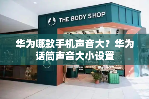华为哪款手机声音大？华为话筒声音大小设置-第1张图片-星选测评