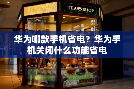华为哪款手机省电？华为手机关闭什么功能省电-第1张图片-星选测评