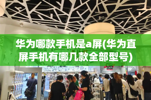 华为哪款手机是a屏(华为直屏手机有哪几款全部型号)-第1张图片-星选测评