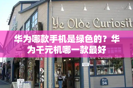 华为哪款手机是绿色的？华为千元机哪一款最好