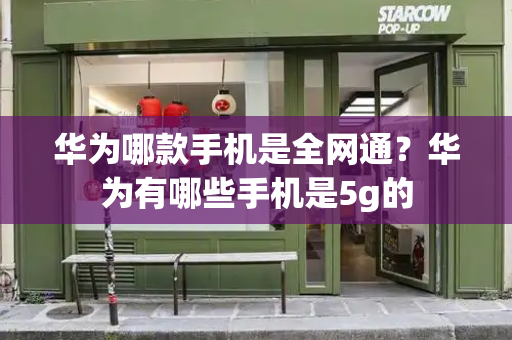 华为哪款手机是全网通？华为有哪些手机是5g的-第1张图片-星选测评