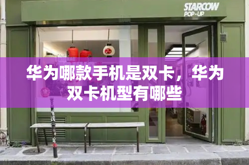 华为哪款手机是双卡，华为双卡机型有哪些