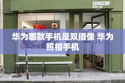 华为哪款手机是双摄像 华为照相手机-第1张图片-星选测评
