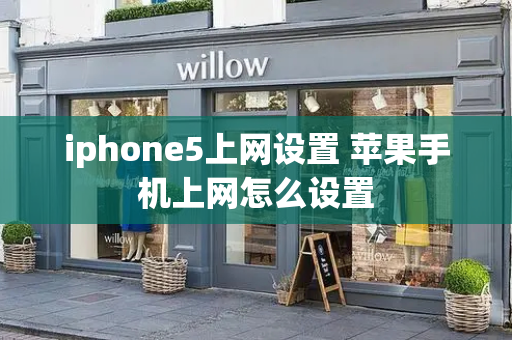 iphone5上网设置 苹果手机上网怎么设置-第1张图片-星选测评