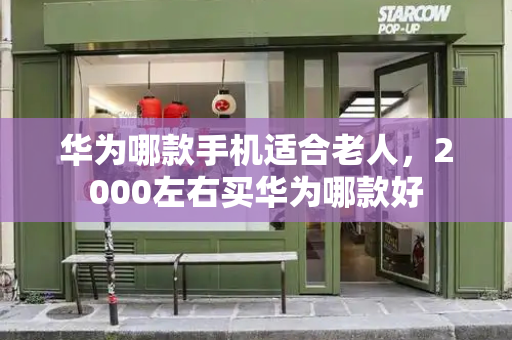 华为哪款手机适合老人，2000左右买华为哪款好-第1张图片-星选测评