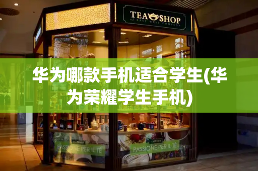 华为哪款手机适合学生(华为荣耀学生手机)