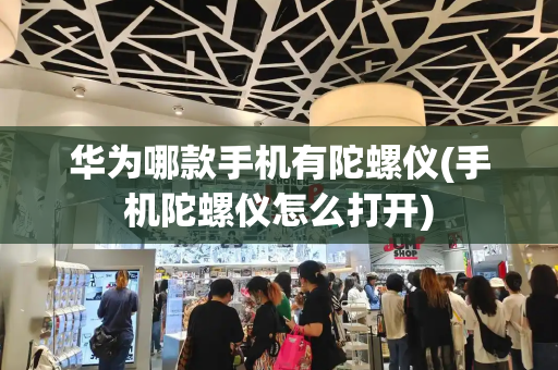 华为哪款手机有陀螺仪(手机陀螺仪怎么打开)-第1张图片-星选测评