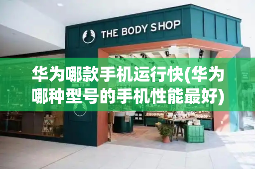 华为哪款手机运行快(华为哪种型号的手机性能最好)-第1张图片-星选测评