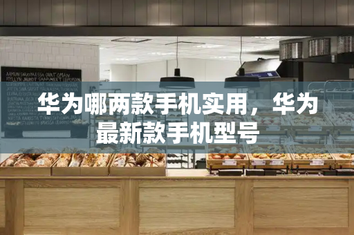 华为哪两款手机实用，华为最新款手机型号