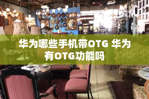 华为哪些手机带OTG 华为有OTG功能吗-第1张图片-星选测评