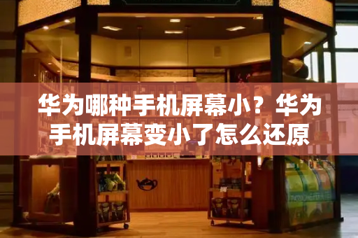 华为哪种手机屏幕小？华为手机屏幕变小了怎么还原-第1张图片-星选测评