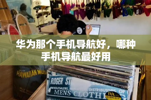 华为那个手机导航好，哪种手机导航最好用
