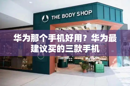 华为那个手机好用？华为最建议买的三款手机-第1张图片-星选测评