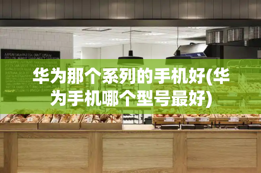 华为那个系列的手机好(华为手机哪个型号最好)-第1张图片-星选测评