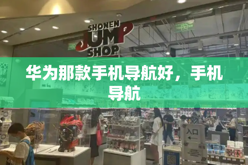 华为那款手机导航好，手机导航-第1张图片-星选测评