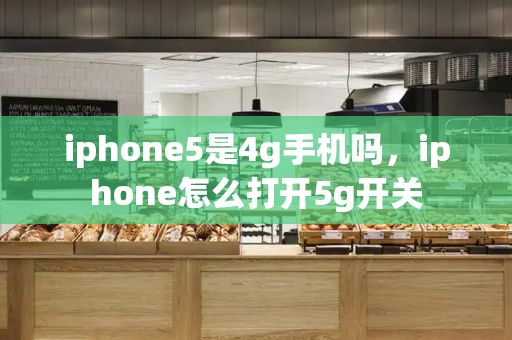 iphone5是4g手机吗，iphone怎么打开5g开关