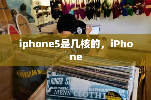 iphone5是几核的，iPhone