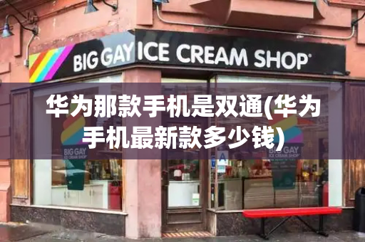 华为那款手机是双通(华为手机最新款多少钱)