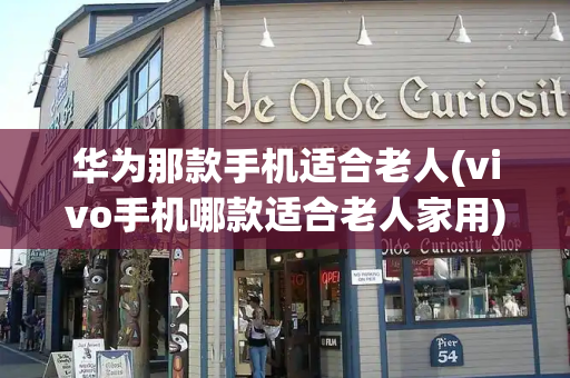 华为那款手机适合老人(vivo手机哪款适合老人家用)-第1张图片-星选测评