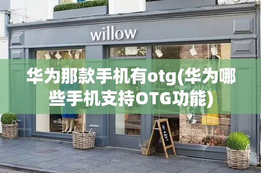 华为那款手机有otg(华为哪些手机支持OTG功能)