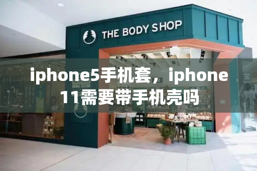 iphone5手机套，iphone11需要带手机壳吗