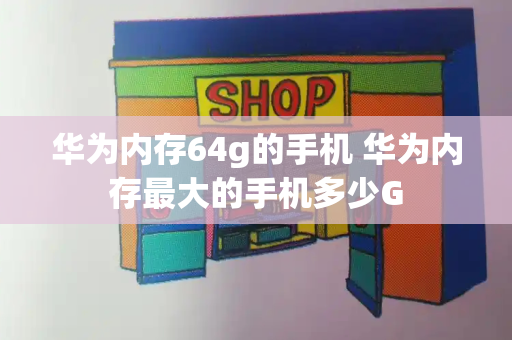 华为内存64g的手机 华为内存最大的手机多少G-第1张图片-星选测评