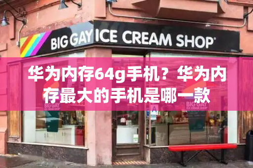 华为内存64g手机？华为内存最大的手机是哪一款-第1张图片-星选测评
