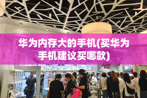 华为内存大的手机(买华为手机建议买哪款)-第1张图片-星选测评