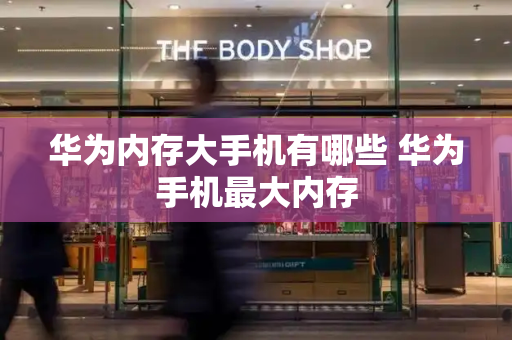 华为内存大手机有哪些 华为手机最大内存-第1张图片-星选测评